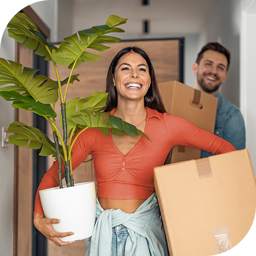 Couple carrying boxes and plant into new home